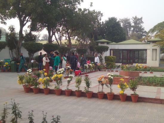 Country Inn Big Munch